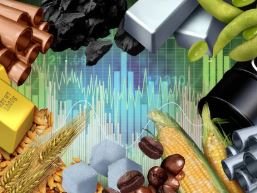 Napoved cen svetovnih surovin, št. 1. 30. januar 2026